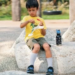 Klean Kanteen Insulated Kid Classic (355ml) - Sugarplum Fairy -Outdoor Camping Store K12KVCPPS PD boys waterbottle airplane raphics lifestyle 1 13af2bf7 4e0d 491c b6c4 4f8c919320b7